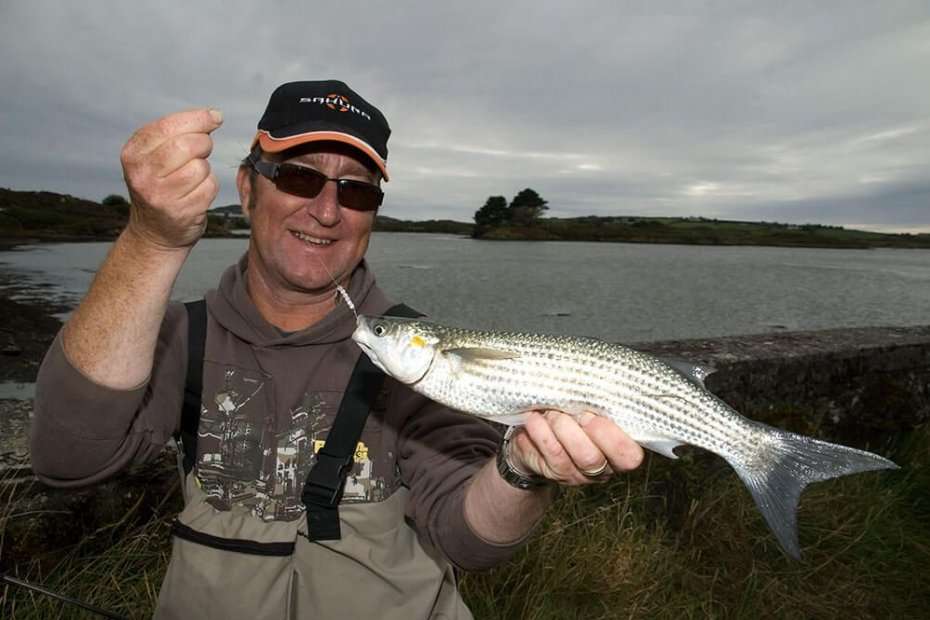 How to catch mullet  Talk Sea Fishing - Sea Angling Forums & Catch Reports