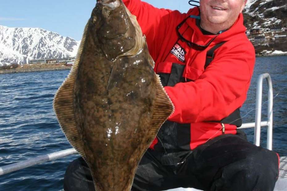 Norwegian halibut fishing  Talk Sea Fishing - Sea Angling Forums