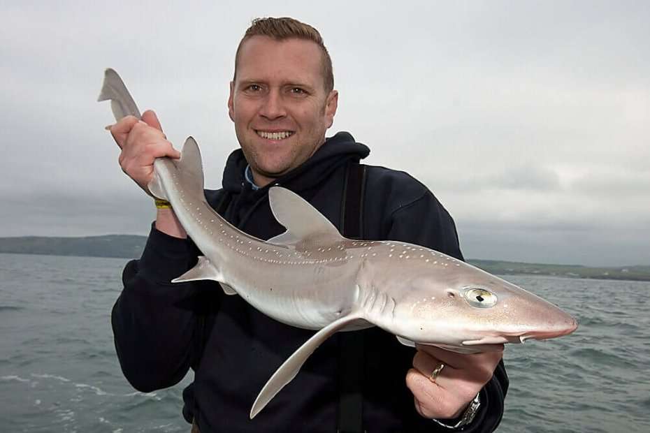 How to catch smoothhound  Talk Sea Fishing - Sea Angling Forums