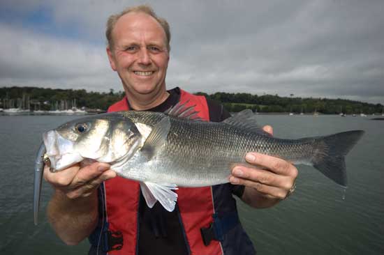 Mike's top five bass lures  Talk Sea Fishing - Sea Angling Forums & Catch  Reports