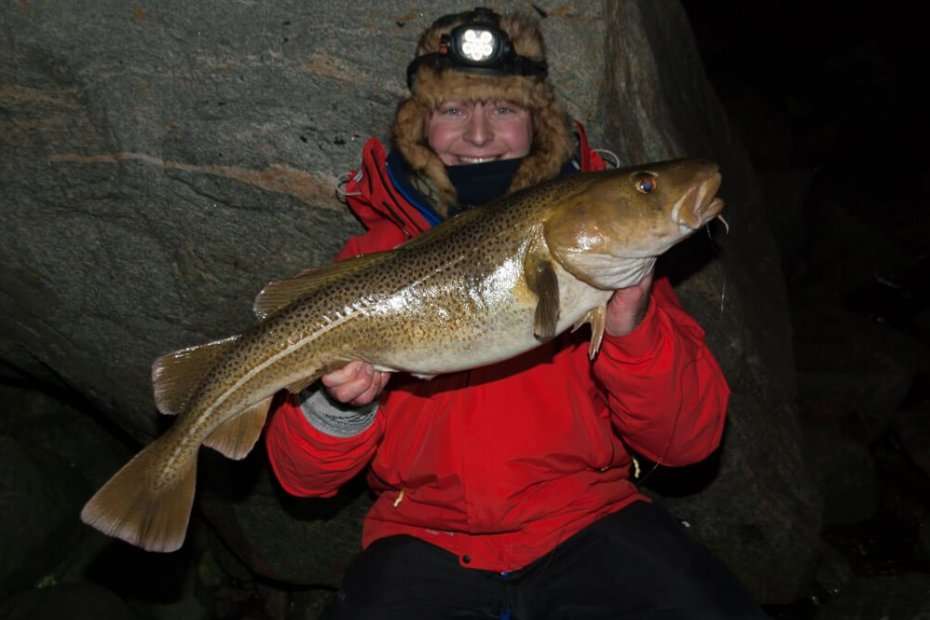 Cold weather shore cod fishing in Norway