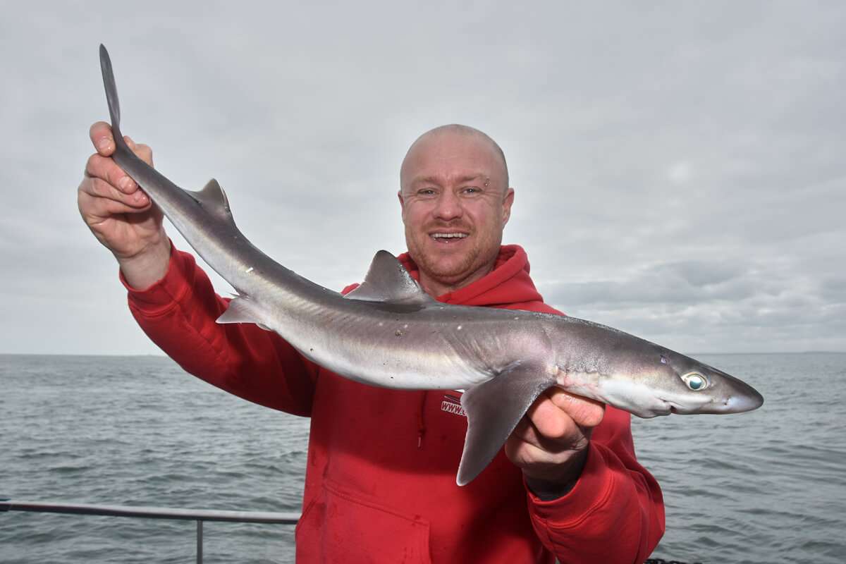 How to catch spurdog  Talk Sea Fishing - Sea Angling Forums & Catch Reports