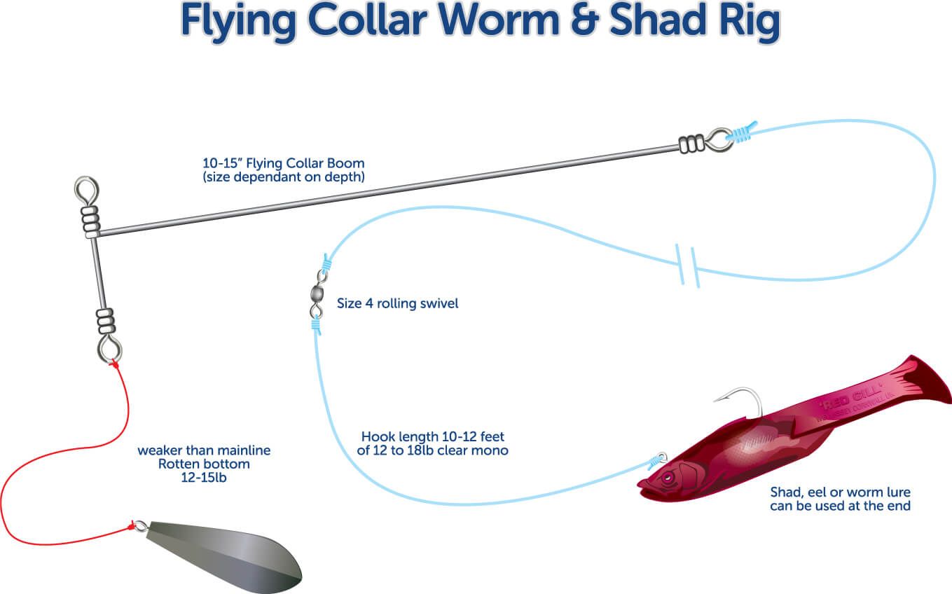 WSF-Flying-Collar-Rig.jpg