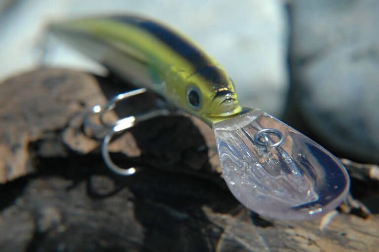 Plug fishing for bass Talk Sea Fishing