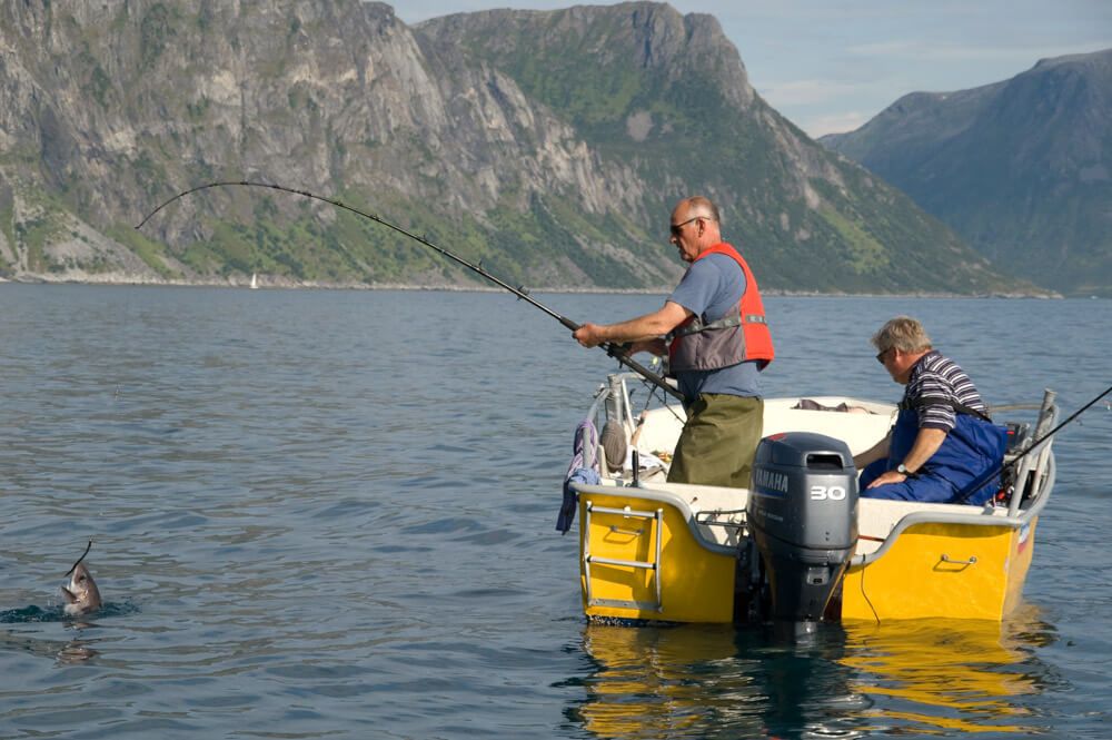 Boat fishing leaders Talk Sea Fishing
