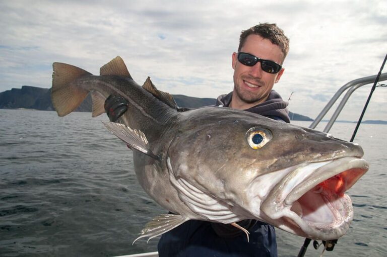 Cod Fishing - How to Catch Cod | Talk Sea Fishing