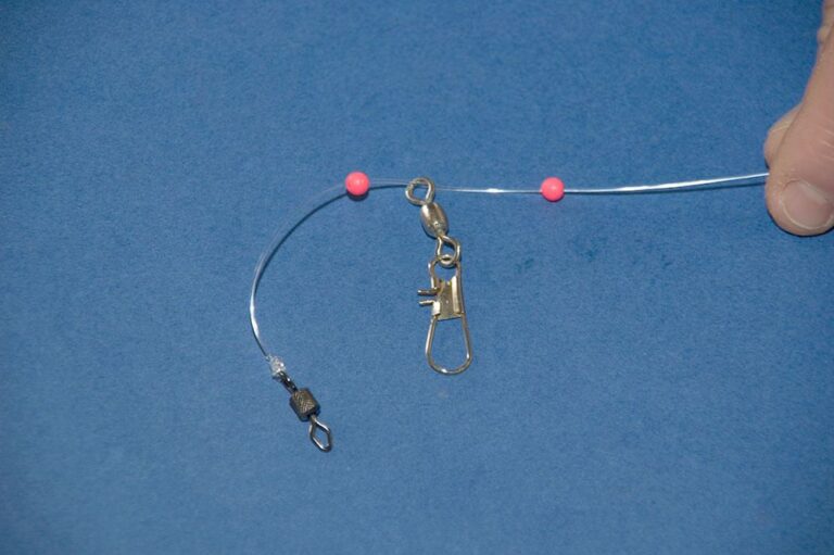 Gurnard Fishing How to catch gurnards Talk Sea Fishing