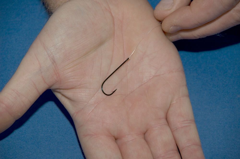 Gurnard Fishing How to catch gurnards Talk Sea Fishing