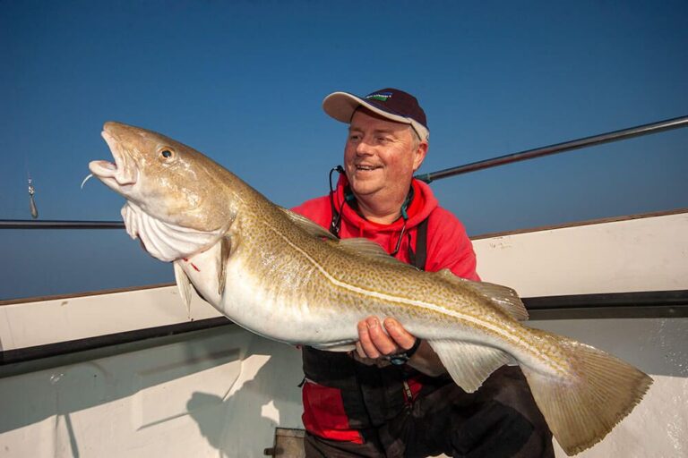 Cod Fishing How to Catch Cod Talk Sea Fishing
