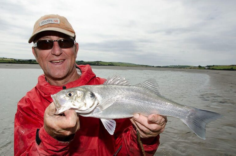 Bass Fishing How to Catch Bass Talk Sea Fishing