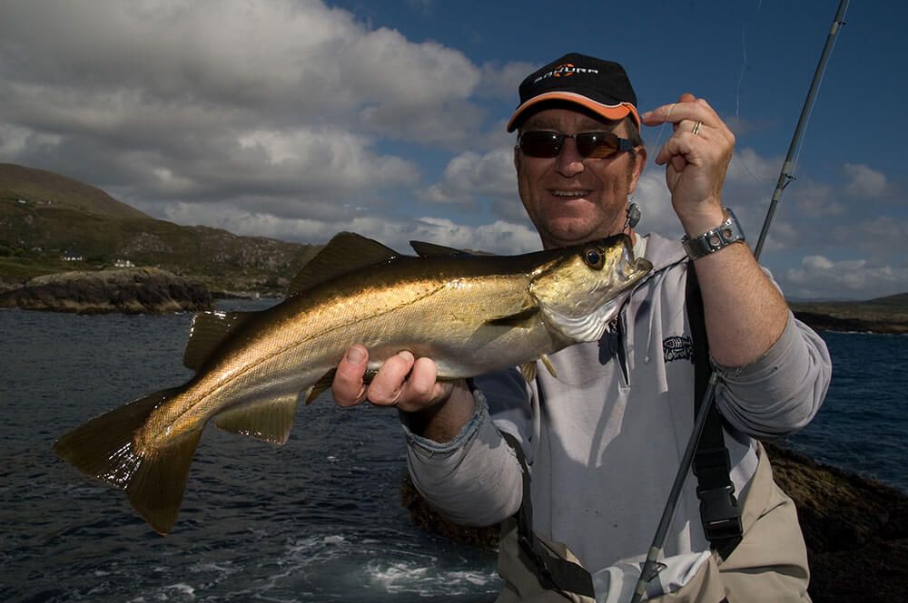 How to catch pollack  Talk Sea Fishing - Sea Angling Forums & Catch Reports