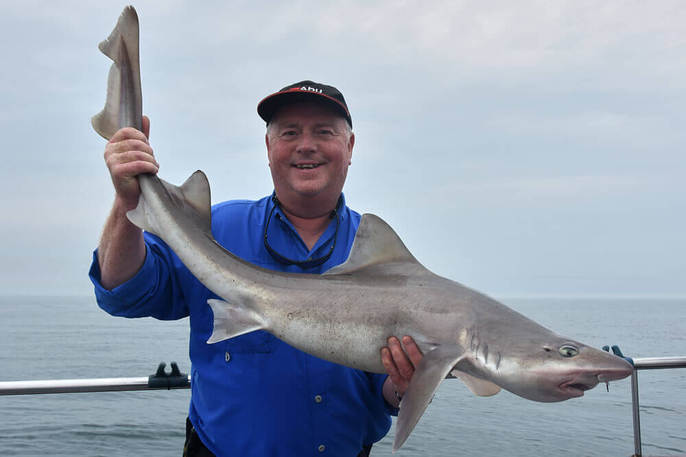 Twenty Pound Smoothhound Club - Talk Sea Fishing