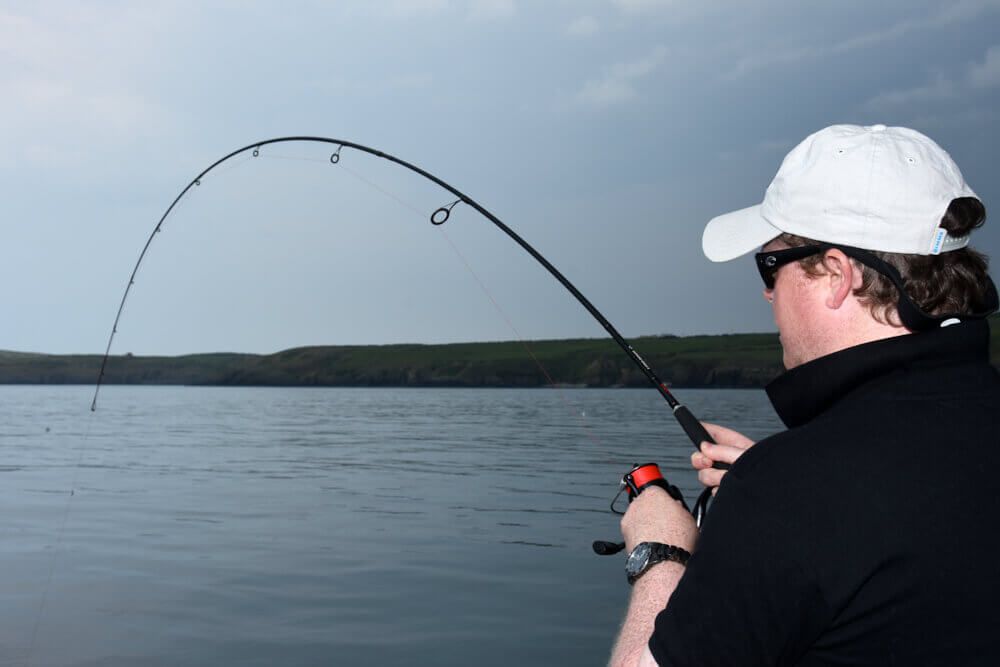 Twenty Pound Smoothhound Club - Talk Sea Fishing