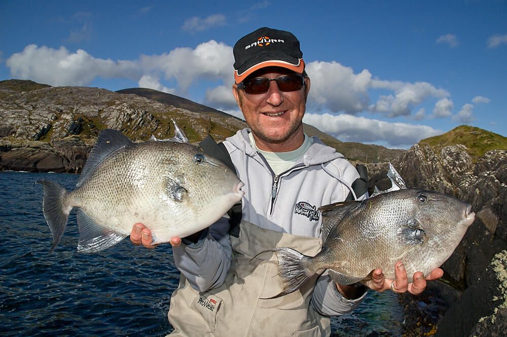 Triggerfish Fishing: How to catch triggerfish | Talk Sea Fishing