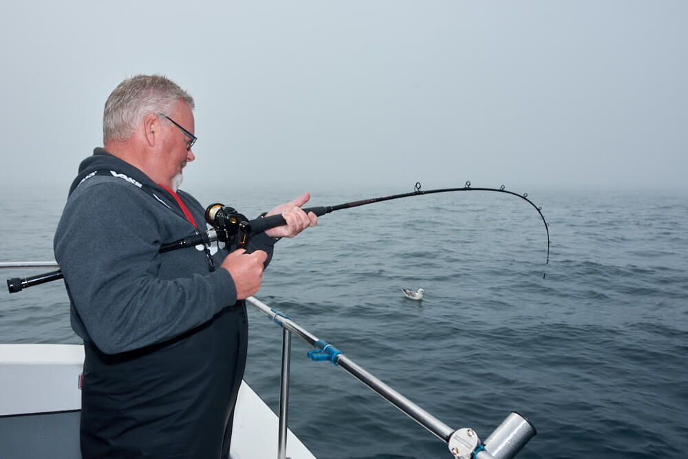 How to catch pollack  Talk Sea Fishing - Sea Angling Forums & Catch Reports