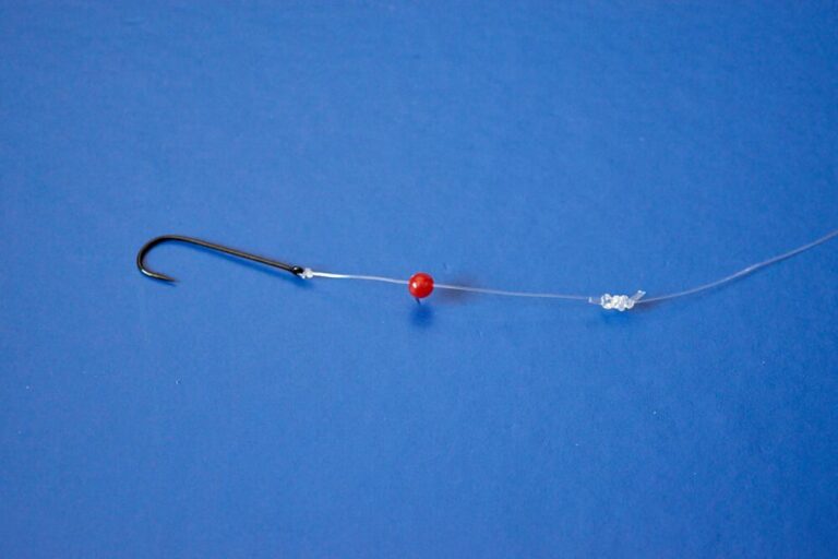 Triggerfish Fishing: How to catch triggerfish | Talk Sea Fishing