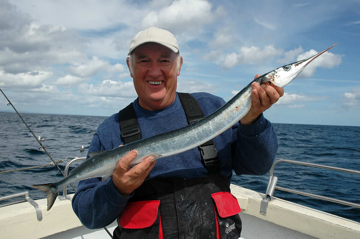 How to catch garfish - Talk Sea Fishing - The Home of UK Sea Angling