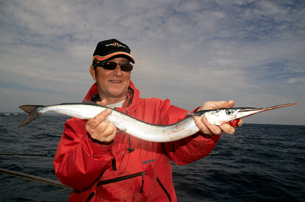 garfish-body-shot-3-1024x681.jpg