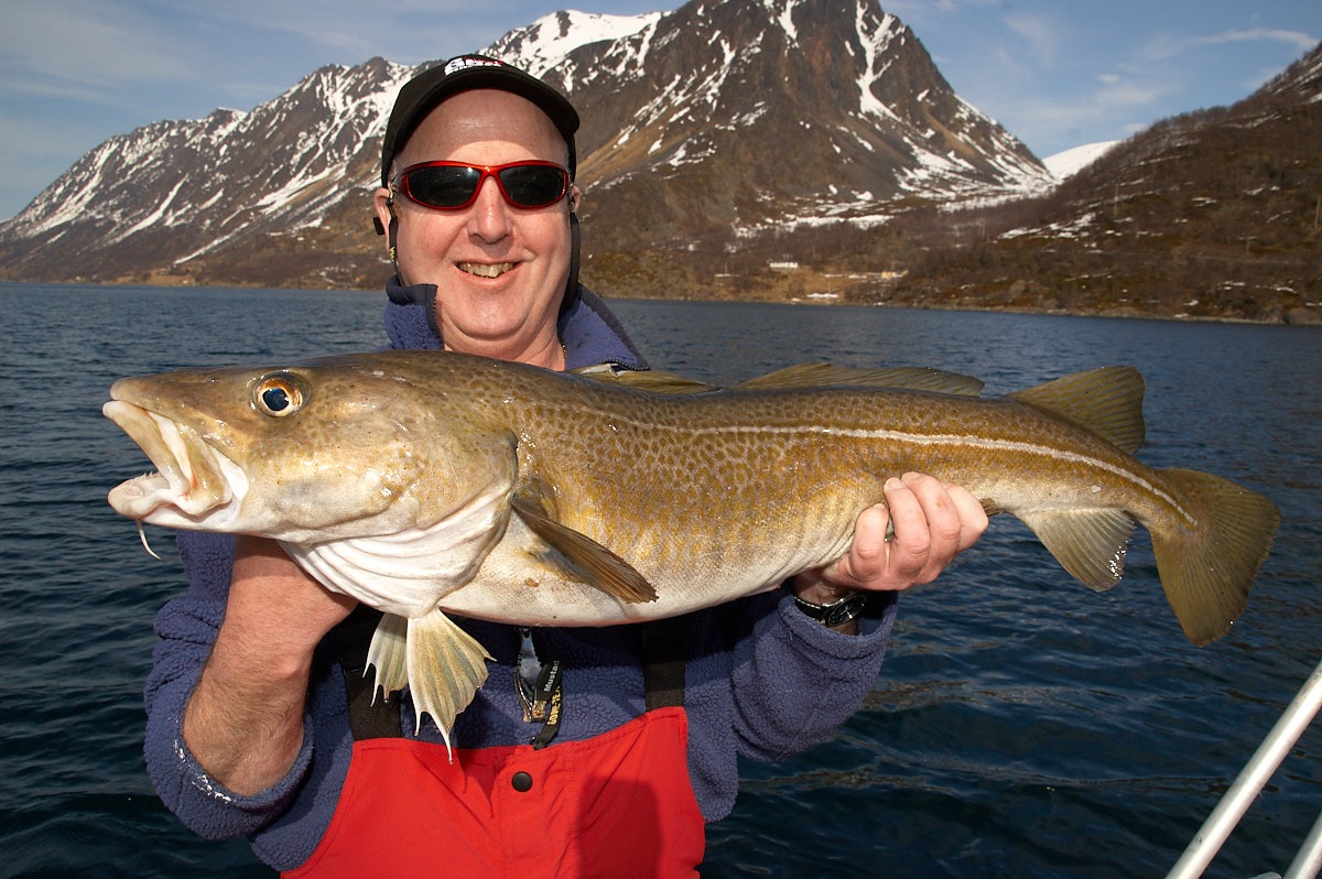 Cod Fishing - How to Catch Cod | Talk Sea Fishing