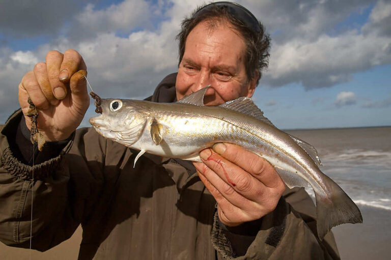 Whiting Fishing How to Catch Whiting Talk Sea Fishing Guides