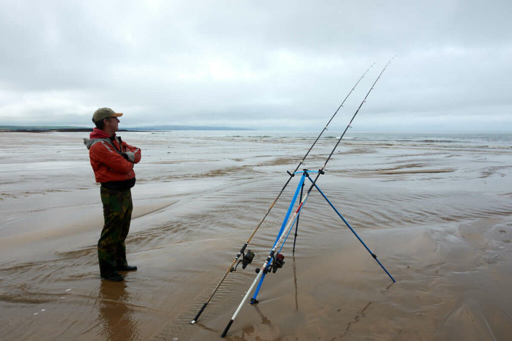 Beach Fishing With KING WORMS: You Will Catch Multiple Species